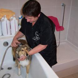 Le Toilettage